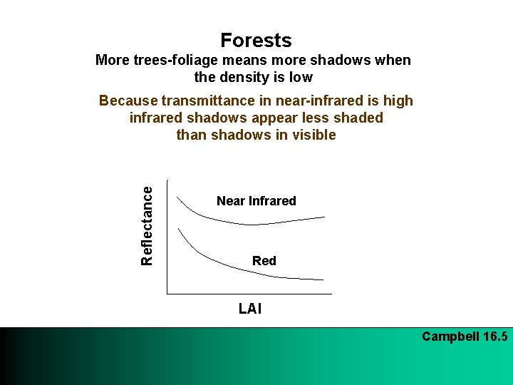  Forests More trees-foliage means more shadows when the density is low Reflectance Because