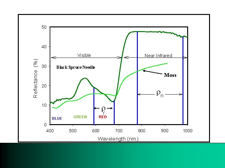 50 40 Reflectance (%) Visible 30 Near Infrared Black Spruce Needle Moss 20 rn