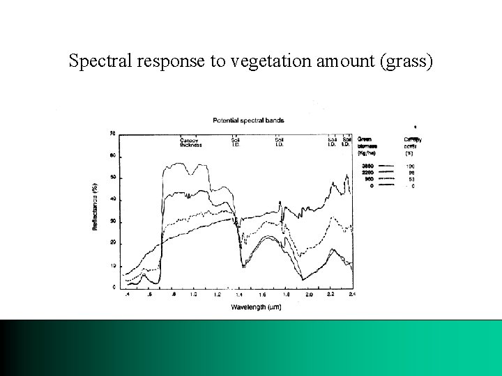 Spectral response to vegetation amount (grass) 