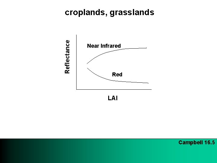 Reflectance croplands, grasslands Near Infrared Red LAI Campbell 16. 5 