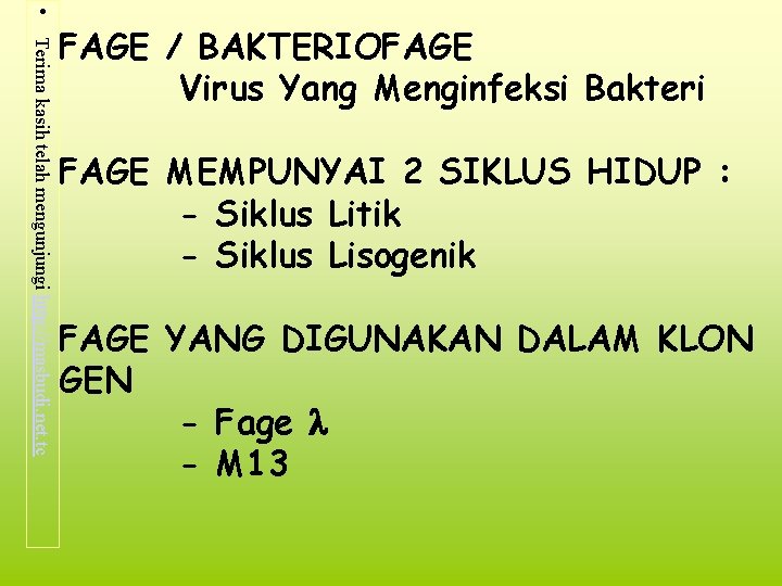  • Terima kasih telah mengunjungi http: //masbudi. net. tc FAGE / BAKTERIOFAGE Virus