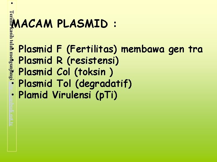  • Terima kasih telah mengunjungi http: //masbudi. net. tc MACAM PLASMID : •