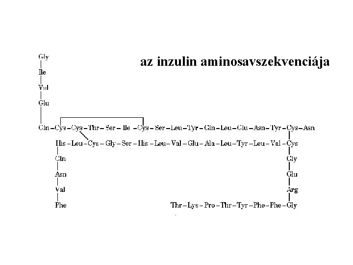 az inzulin aminosavszekvenciája 