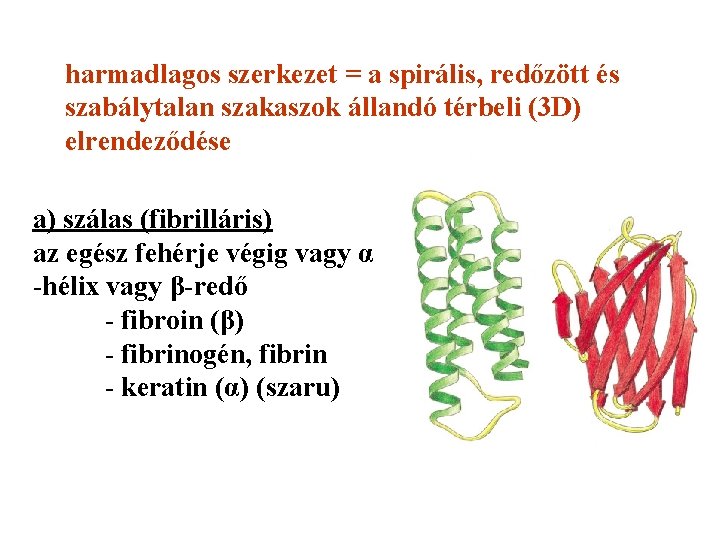 harmadlagos szerkezet = a spirális, redőzött és szabálytalan szakaszok állandó térbeli (3 D) elrendeződése