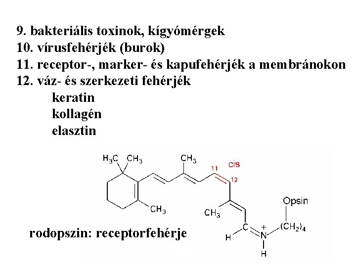 9. bakteriális toxinok, kígyómérgek 10. vírusfehérjék (burok) 11. receptor-, marker- és kapufehérjék a membránokon