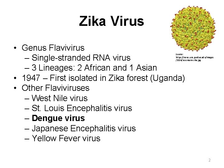 Zika Virus • Genus Flavivirus – Single-stranded RNA virus – 3 Lineages: 2 African