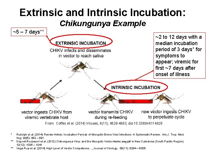 Extrinsic and Intrinsic Incubation: Chikungunya Example ~5 – 7 days** ~2 to 12 days