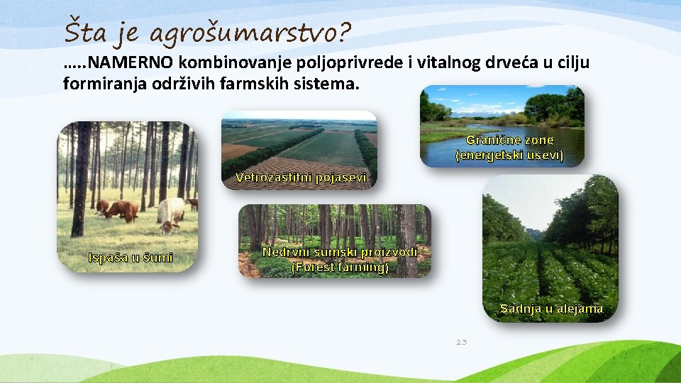 Šta je agrošumarstvo? …. . NAMERNO kombinovanje poljoprivrede i vitalnog drveća u cilju formiranja