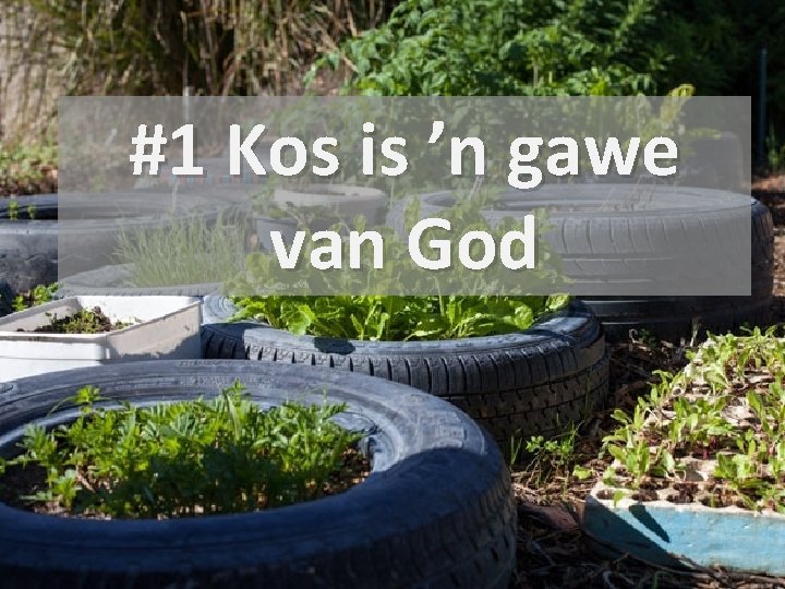 #1 Kos is ’n gawe van God 