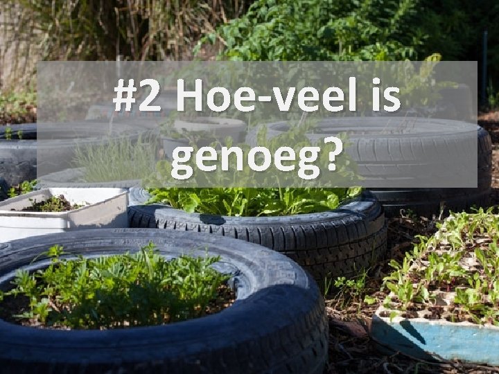 #2 Hoe-veel is genoeg? 