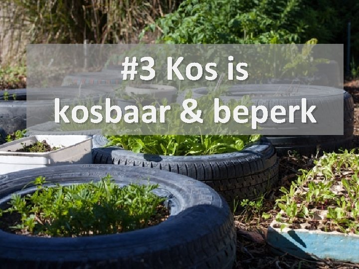 #3 Kos is kosbaar & beperk 