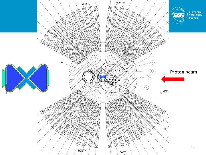 Proton beam 19 