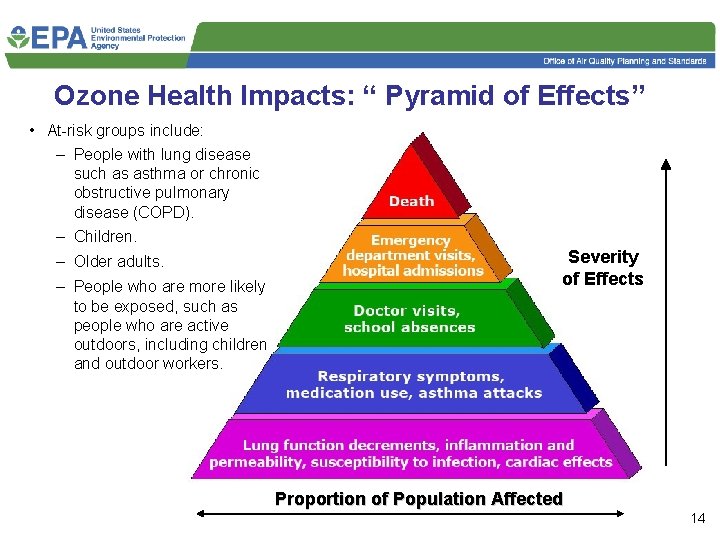 Ozone Health Impacts: “ Pyramid of Effects” • At-risk groups include: – People with