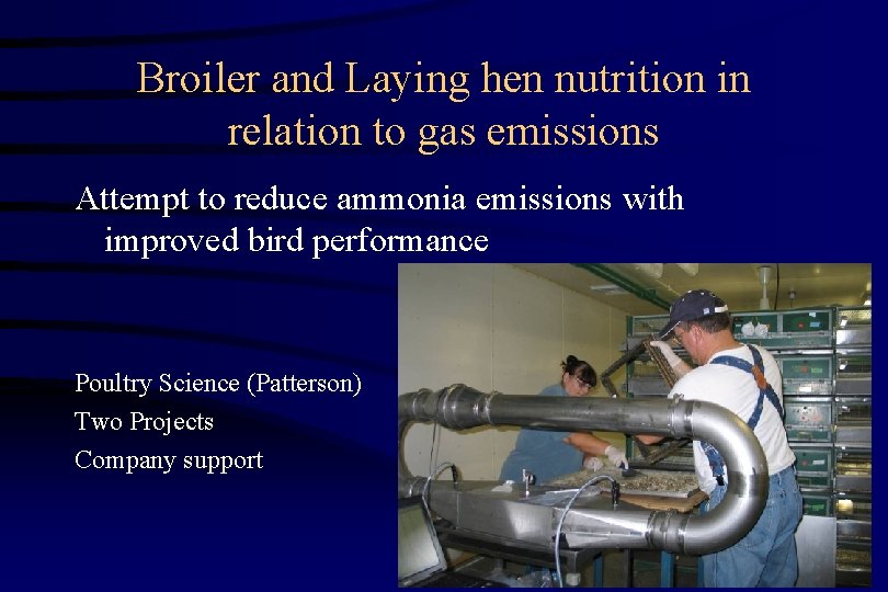 Broiler and Laying hen nutrition in relation to gas emissions Attempt to reduce ammonia