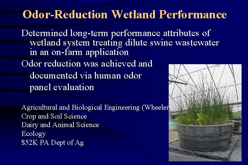 Odor-Reduction Wetland Performance Determined long-term performance attributes of wetland system treating dilute swine wastewater