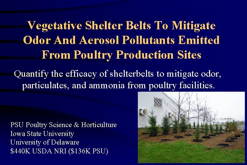Vegetative Shelter Belts To Mitigate Odor And Aerosol Pollutants Emitted From Poultry Production Sites
