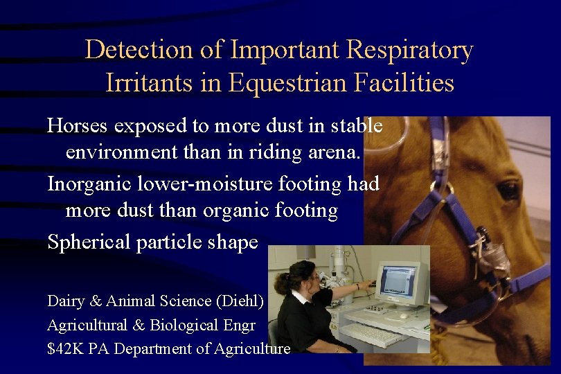 Detection of Important Respiratory Irritants in Equestrian Facilities Horses exposed to more dust in