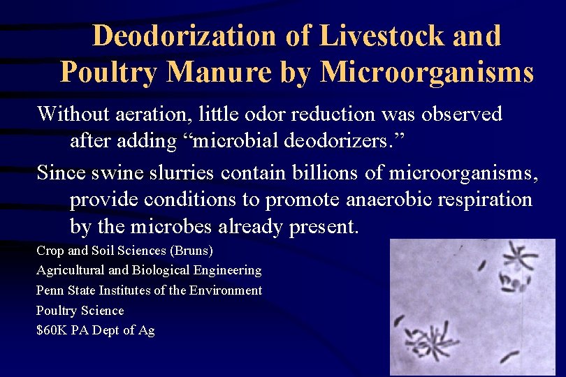 Deodorization of Livestock and Poultry Manure by Microorganisms Without aeration, little odor reduction was
