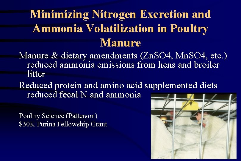 Minimizing Nitrogen Excretion and Ammonia Volatilization in Poultry Manure & dietary amendments (Zn. SO