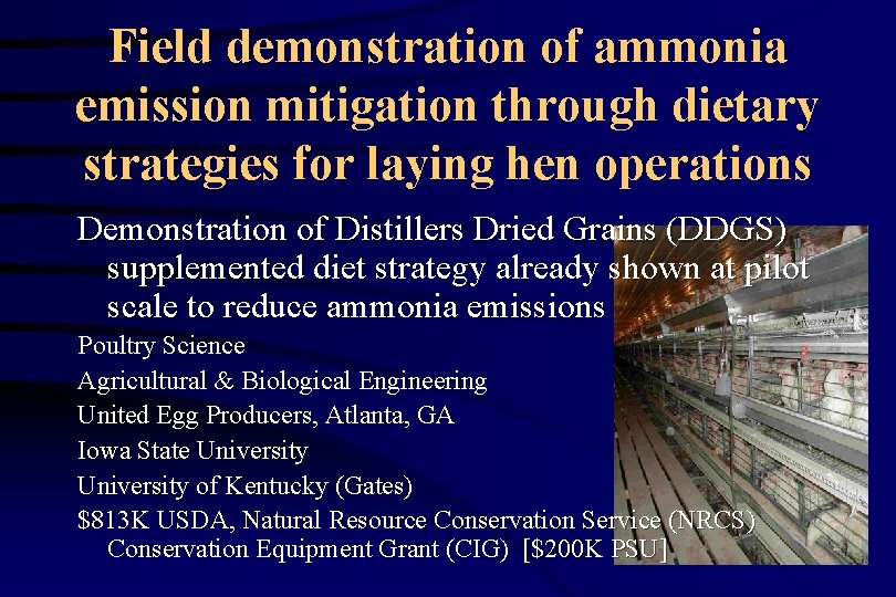 Field demonstration of ammonia emission mitigation through dietary strategies for laying hen operations Demonstration