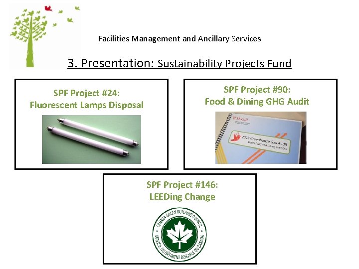 Facilities Management and Ancillary Services 3. Presentation: Sustainability Projects Fund SPF Project #24: Fluorescent