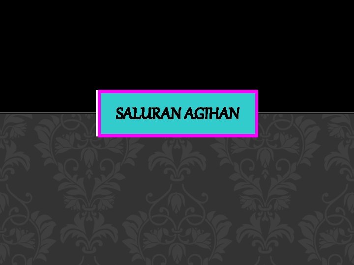 SALURAN AGIHAN 