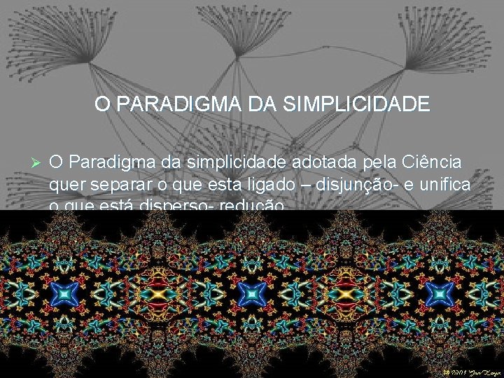 O PARADIGMA DA SIMPLICIDADE O Paradigma da simplicidade adotada pela Ciência quer separar o