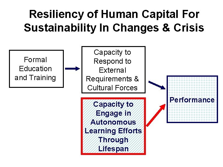 A Model of Lifelong Learning Capacity Building in