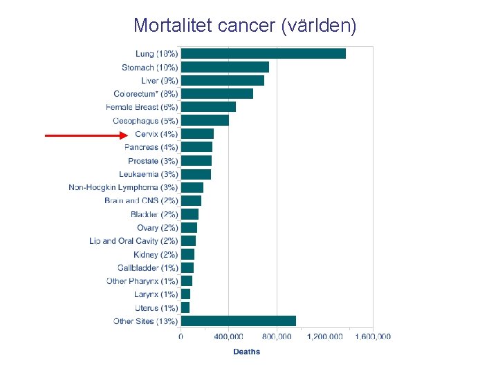 Mortalitet cancer (världen) 