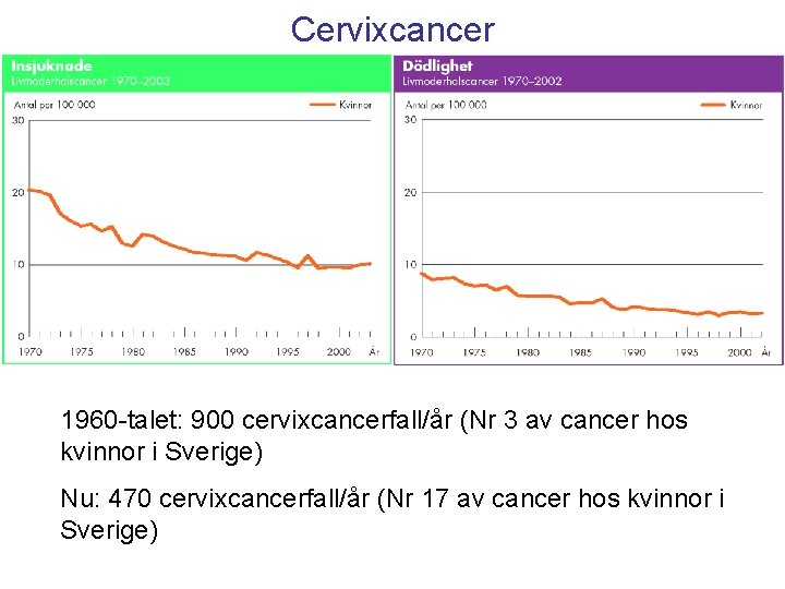 Cervixcancer 1960 -talet: 900 cervixcancerfall/år (Nr 3 av cancer hos kvinnor i Sverige) Nu: