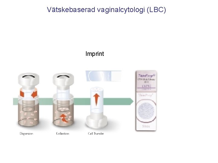 Vätskebaserad vaginalcytologi (LBC) Imprint 