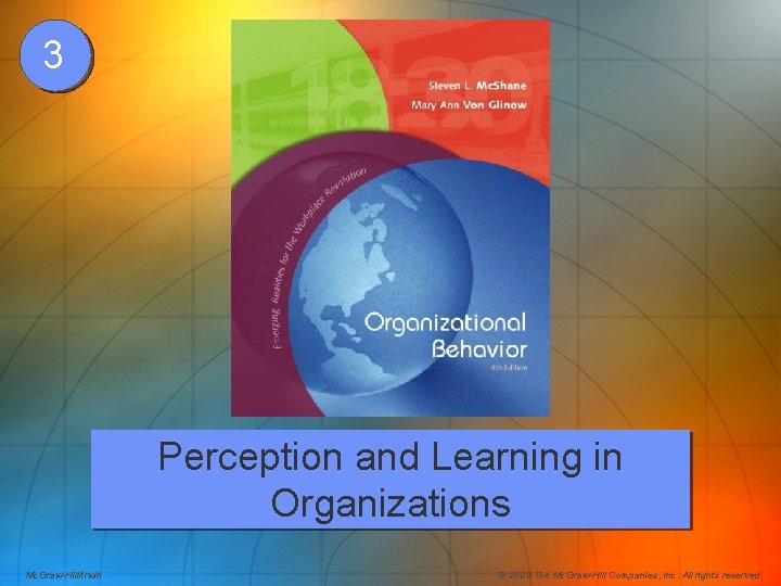 3 Perception and Learning in Organizations Mc. Graw-Hill/Irwin © 2008 The Mc. Graw-Hill Companies,