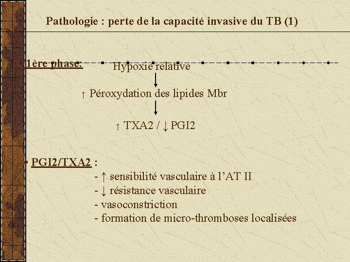 Pathologie : perte de la capacité invasive du TB (1) • 1ère phase: ↑