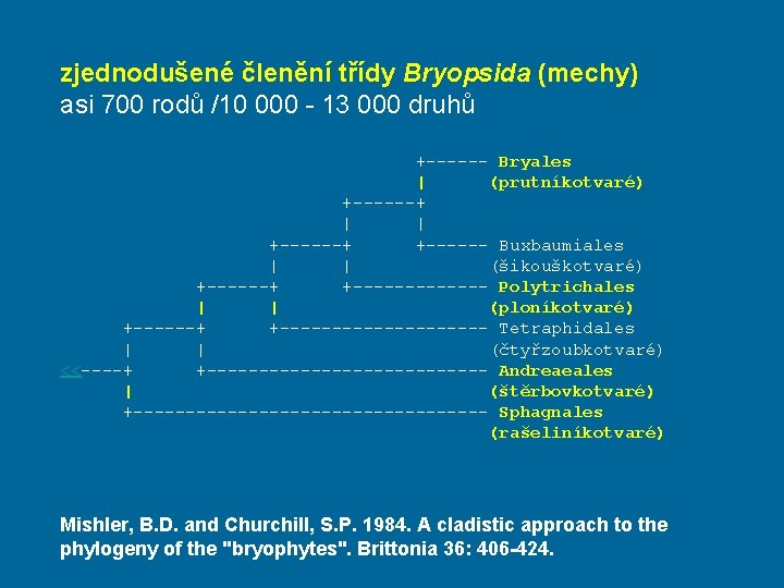 zjednodušené členění třídy Bryopsida (mechy) asi 700 rodů /10 000 - 13 000 druhů