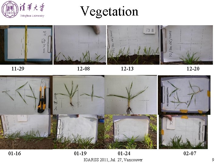 Vegetation 11 -29 01 -16 12 -08 01 -19 12 -13 01 -24 IGARSS