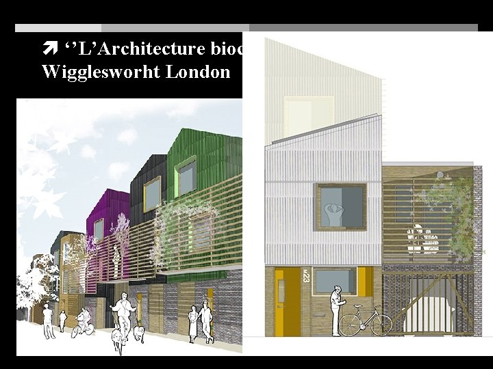  ‘’L’Architecture bioclimatique’’: SARAH Wigglesworht London http: //www. swarch. co. uk/assets/Uploads/scotswood-03. jpg 