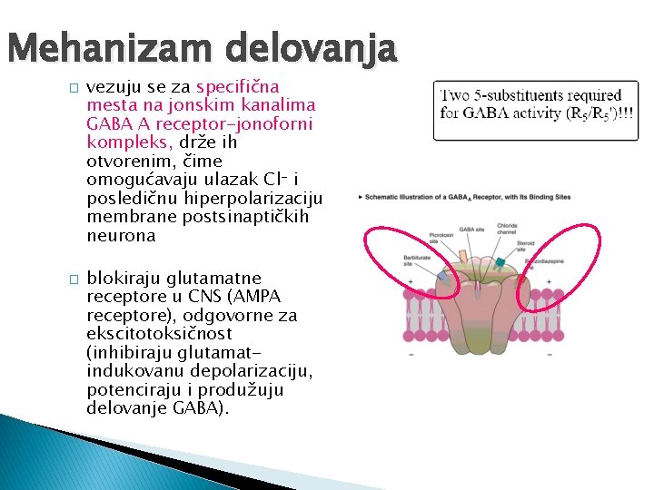 Mehanizam delovanja � � vezuju se za specifična mesta na jonskim kanalima GABA A