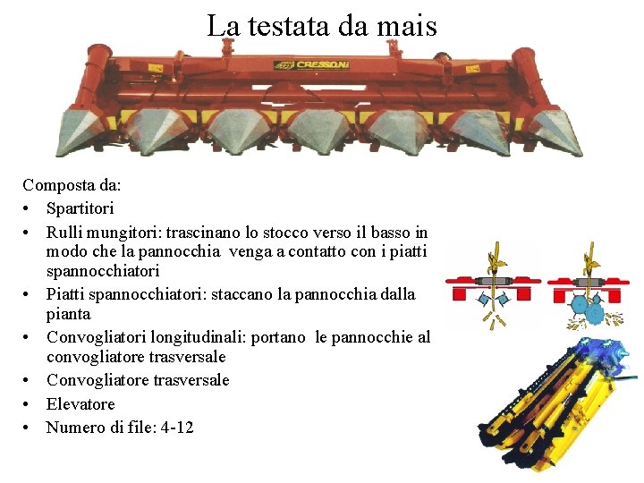 La testata da mais Composta da: • Spartitori • Rulli mungitori: trascinano lo stocco