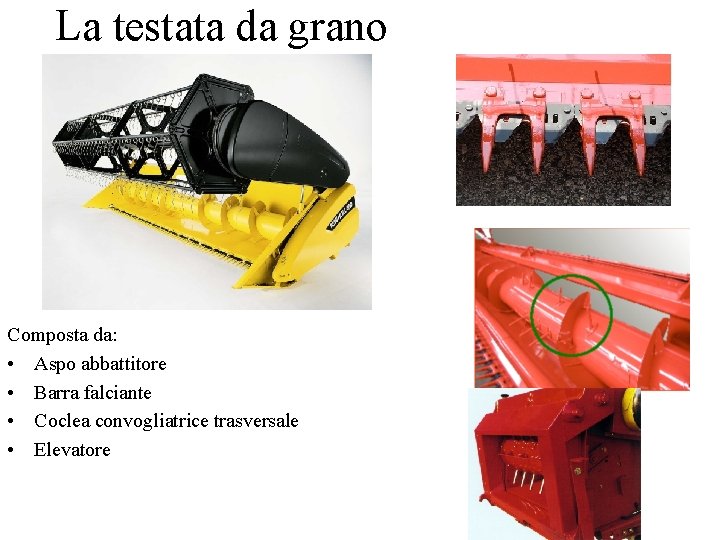 La testata da grano Composta da: • Aspo abbattitore • Barra falciante • Coclea