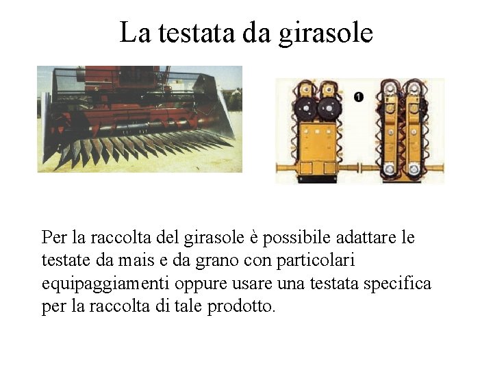 La testata da girasole Per la raccolta del girasole è possibile adattare le testate