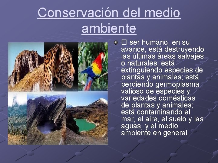 Conservación del medio ambiente El ser humano, en su avance, está destruyendo las últimas