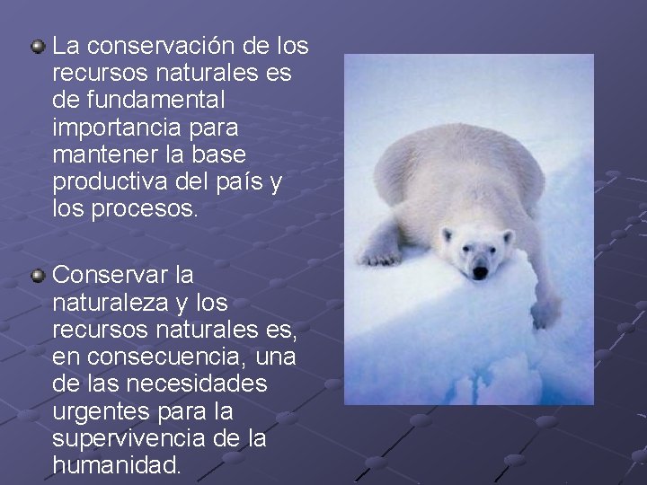 La conservación de los recursos naturales es de fundamental importancia para mantener la base