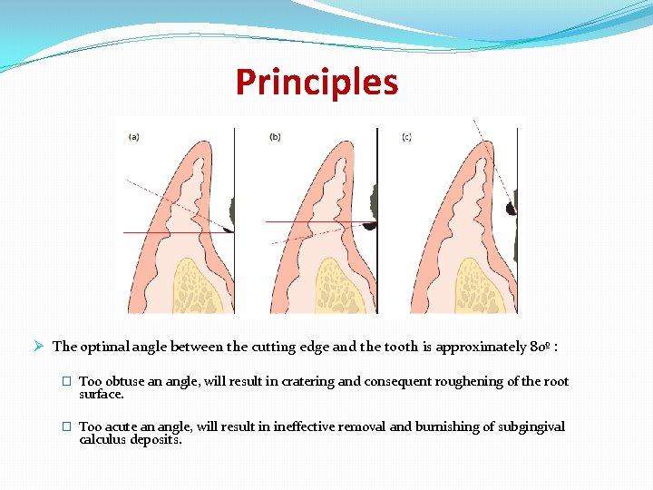Principles Ø The optimal angle between the cutting edge and the tooth is approximately