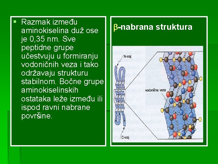 § Razmak između -nabrana struktura aminokiselina duž ose je 0, 35 nm. Sve peptidne