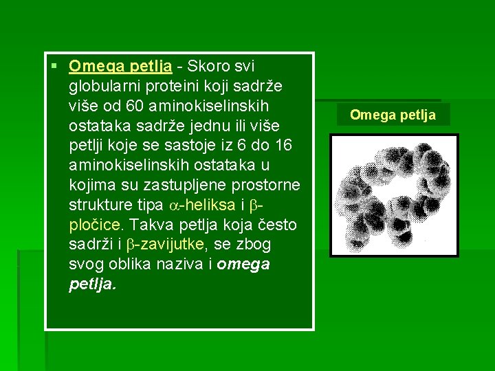 § Omega petlja - Skoro svi globularni proteini koji sadrže više od 60 aminokiselinskih