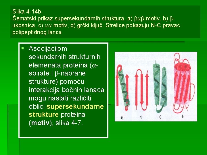 Slika 4 -14 b. Šematski prikaz supersekundarnih struktura. a) -motiv, b) ukosnica, c) motiv,