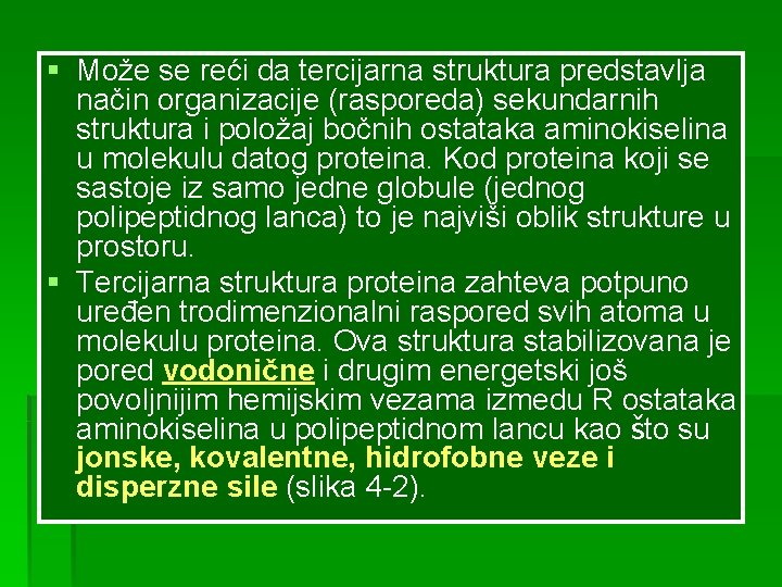 § Može se reći da tercijarna struktura predstavlja način organizacije (rasporeda) sekundarnih struktura i