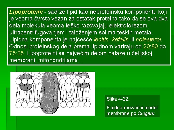 Lipoproteini - sadrže lipid kao neproteinsku komponentu koji je veoma čvrsto vezan za ostatak