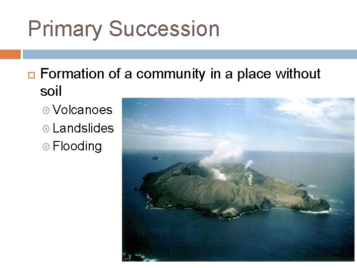 Primary Succession Formation of a community in a place without soil Volcanoes Landslides Flooding