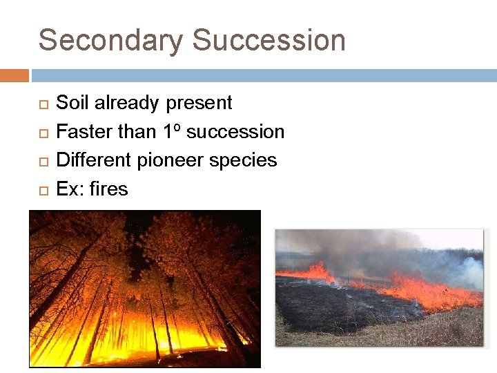 Secondary Succession Soil already present Faster than 1º succession Different pioneer species Ex: fires
